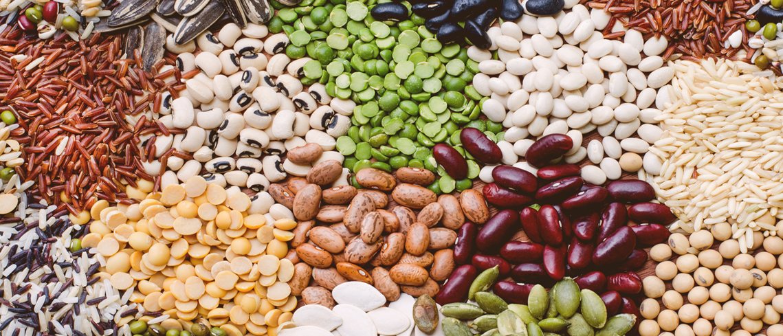 Seed Management Application